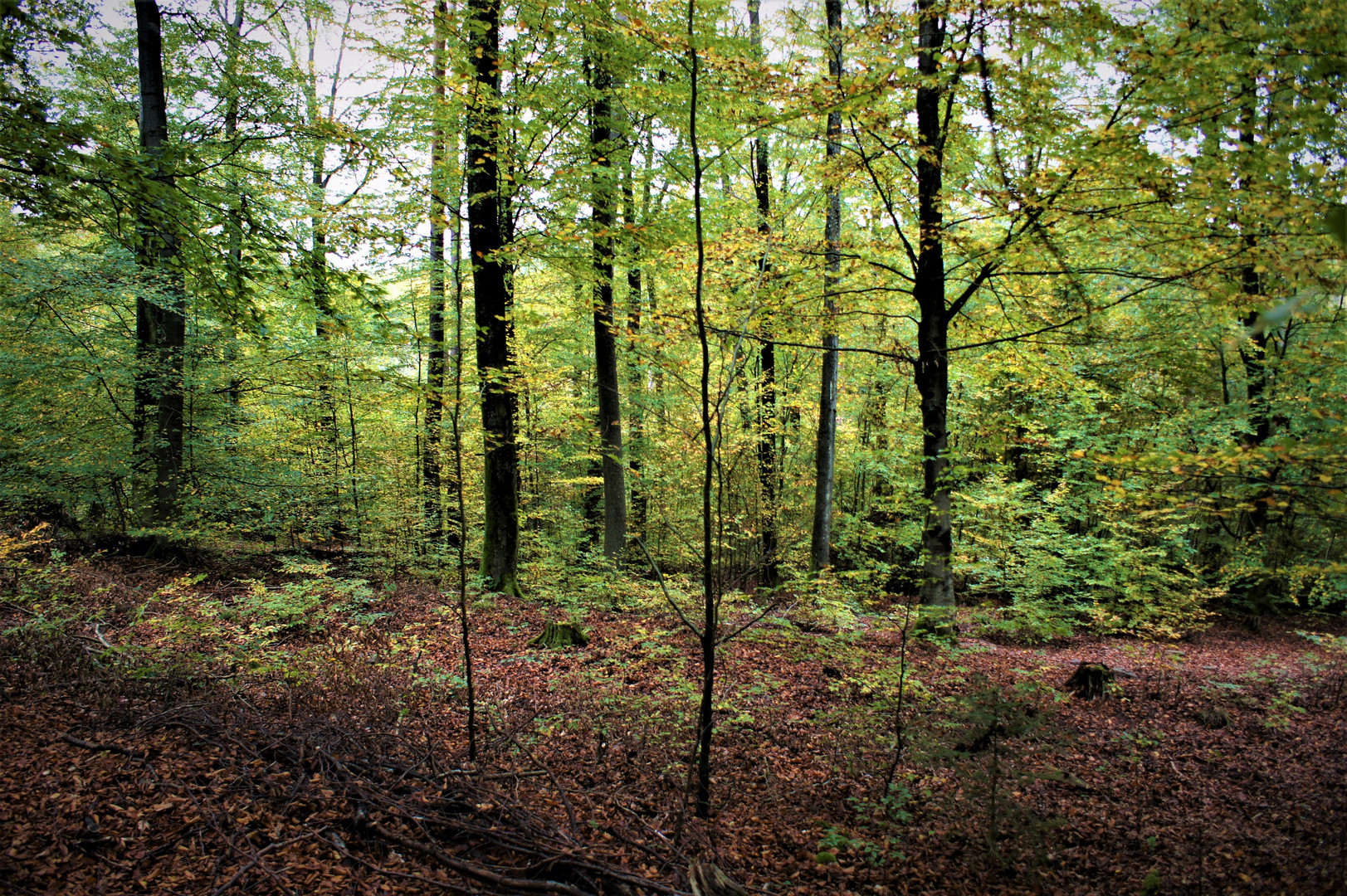 Herbstwanderung