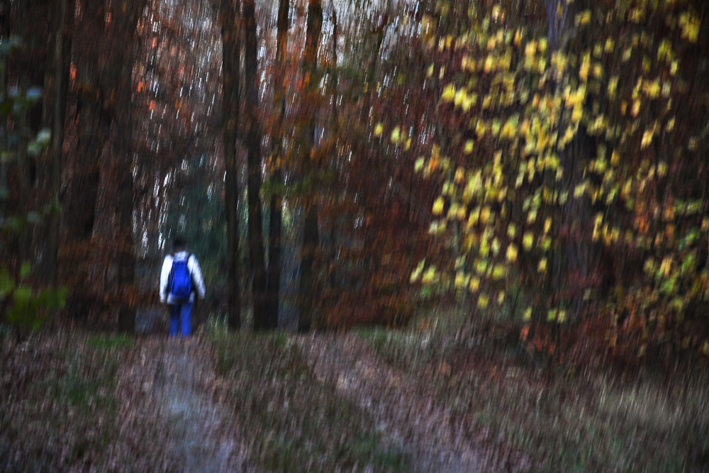 Herbstwanderung