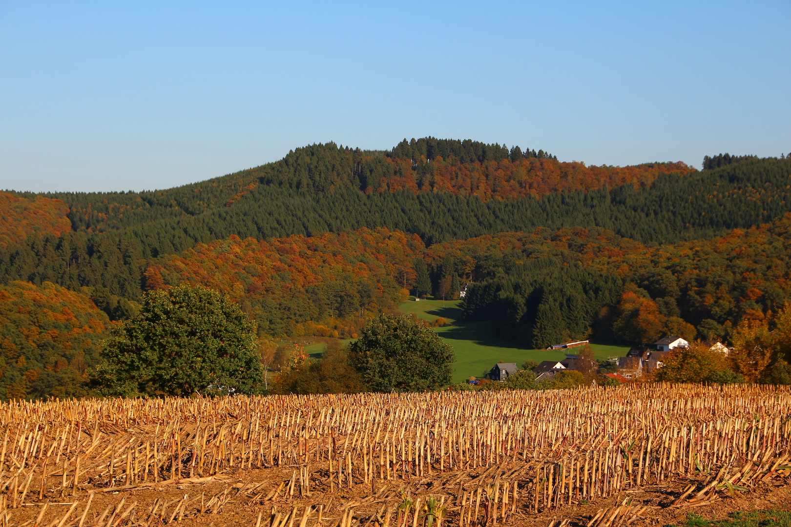 Herbstwanderung