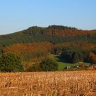 Herbstwanderung