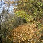 Herbstwanderung bei Goldkronach