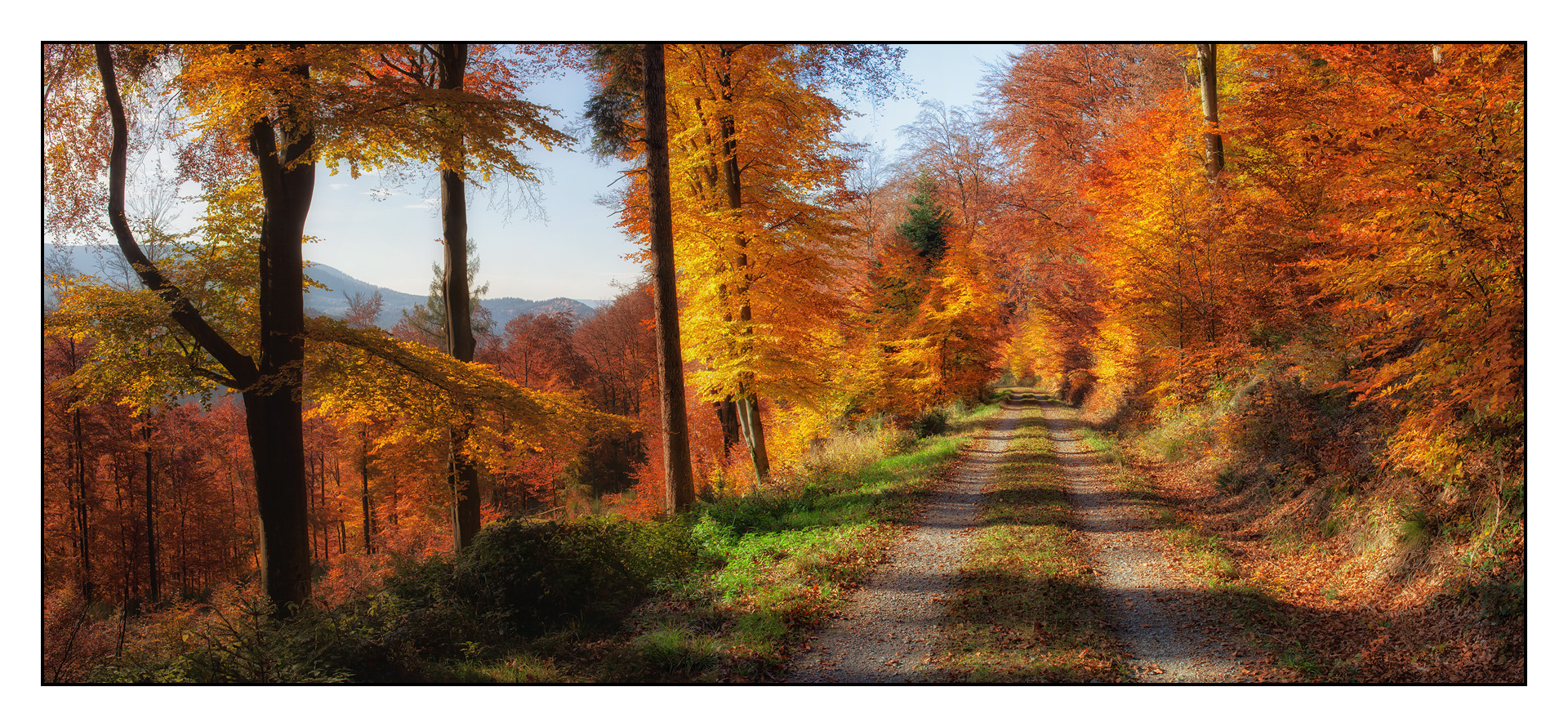 Herbstwanderung bei Reichental im Nordschwarzwald