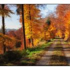 Herbstwanderung bei Reichental im Nordschwarzwald