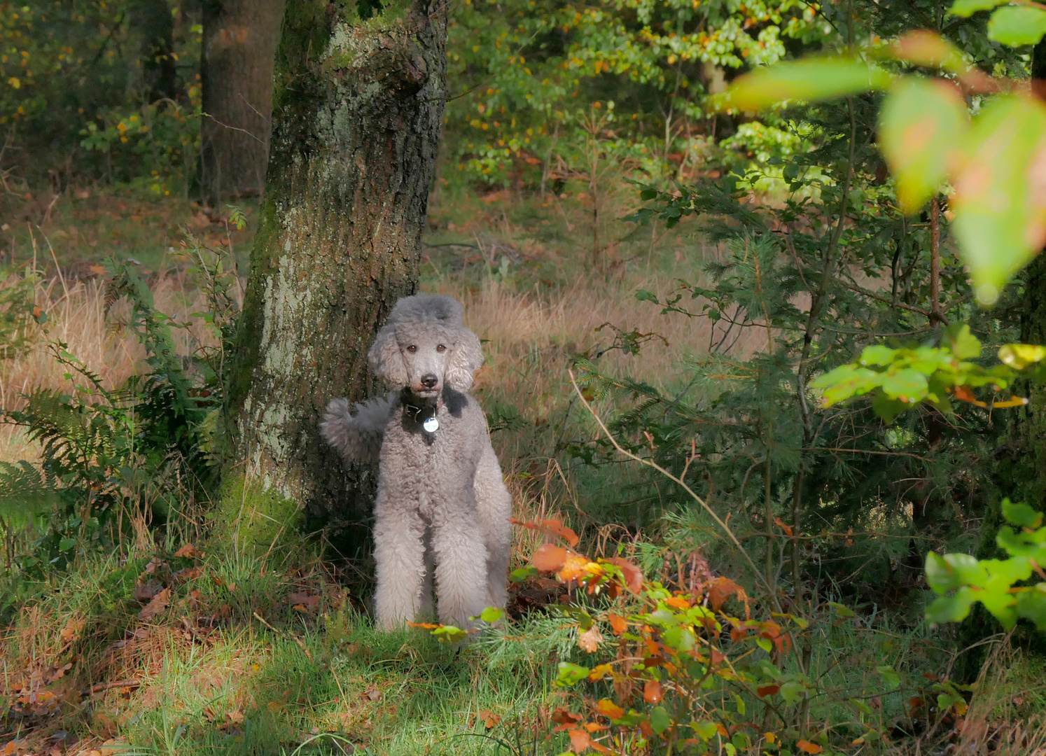 Herbstwanderung