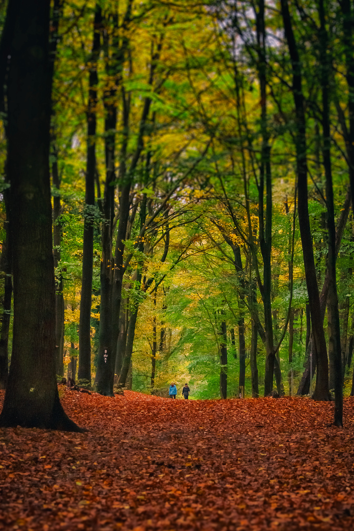 Herbstwanderung