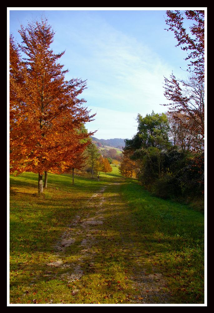 Herbstwanderung