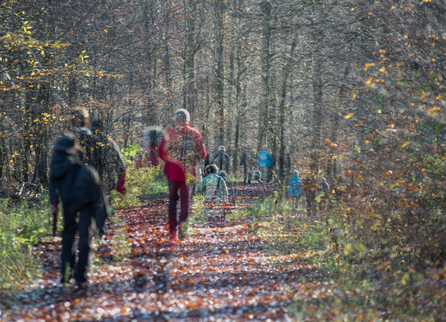 Herbstwanderung