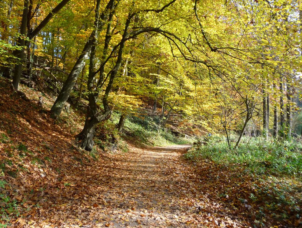 Herbstwanderung .....