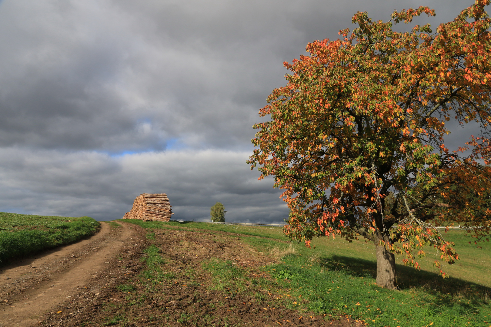 Herbstwanderung