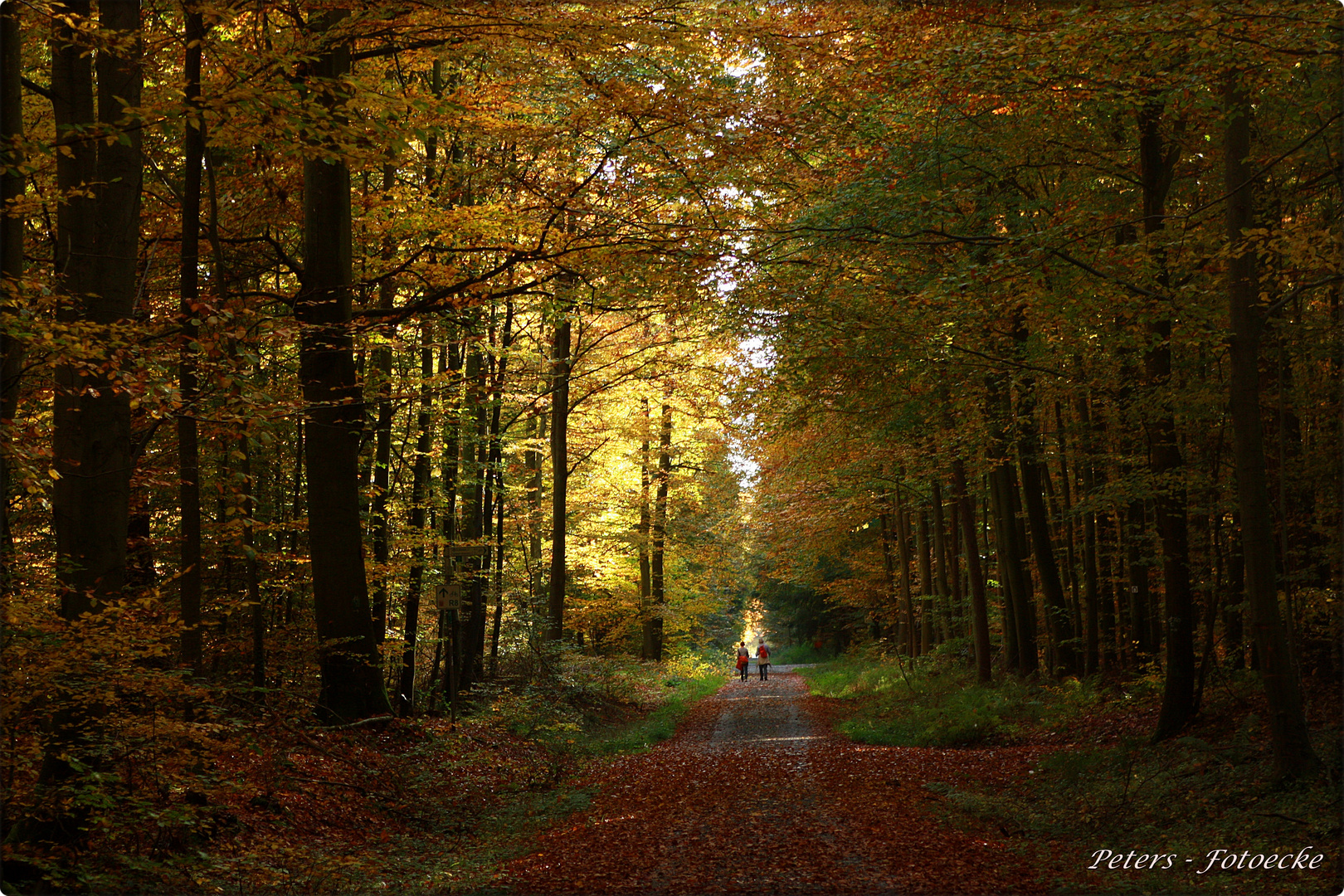 Herbstwanderung