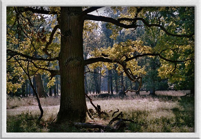 Herbstwanderung