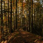 Herbstwanderung durch das Appenzellerland