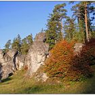 Herbstwanderung durch das Wental (1) ...