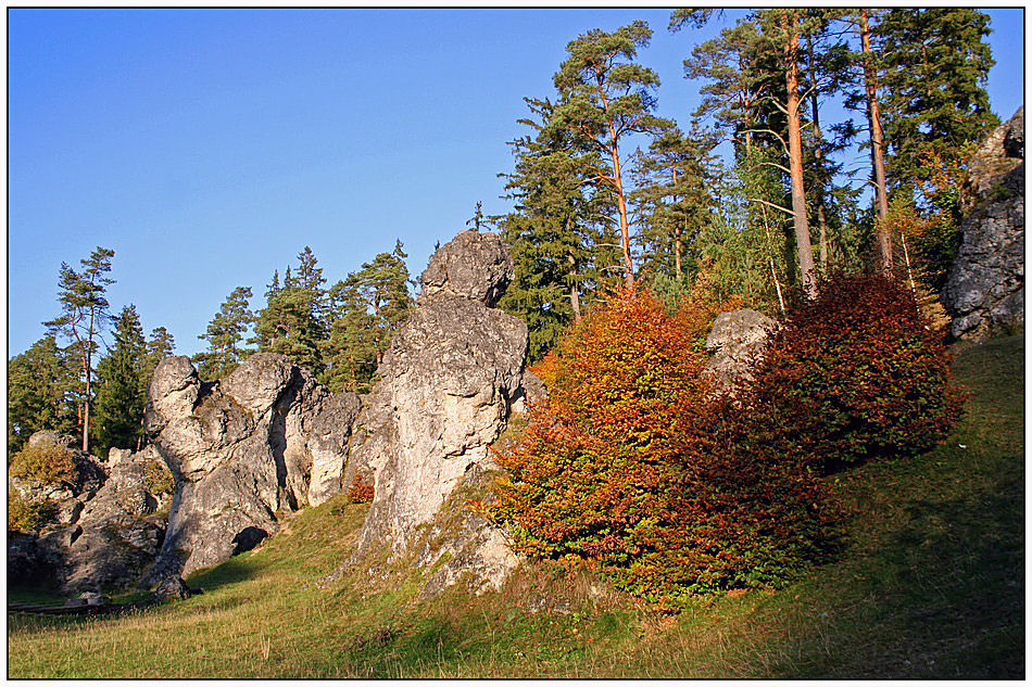 Herbstwanderung durch das Wental (1) ...