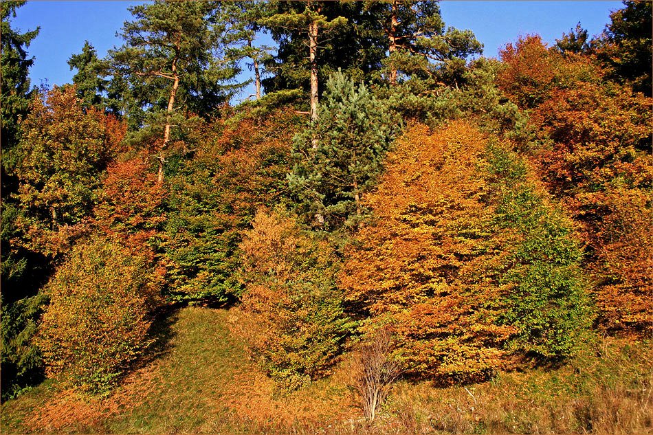 Herbstwanderung durch das Wental (2) ...