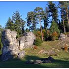 Herbstwanderung durch das Wental (4) ...