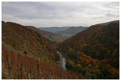 Herbstwanderung durch's Ahrtal 2009