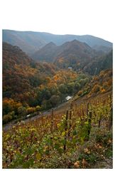 Herbstwanderung durch's Ahrtal 2009...aus einem anderen Winkel