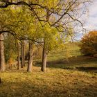 Herbstwanderung