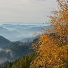 Herbstwanderung