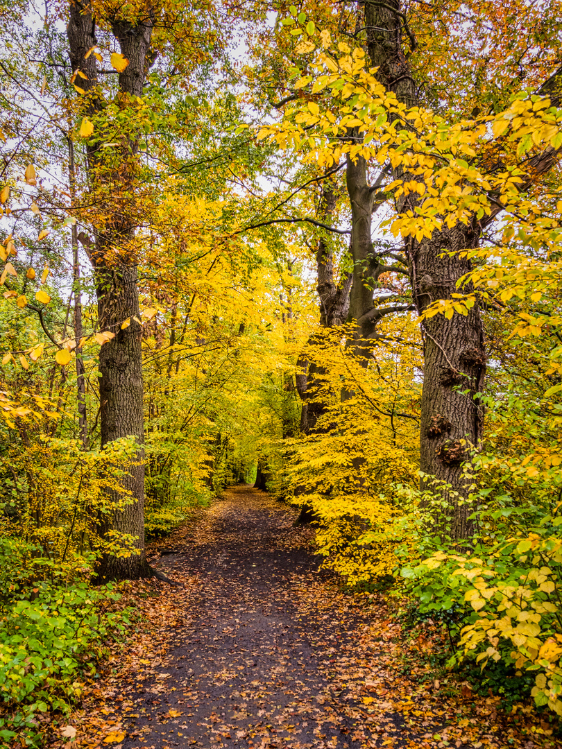 Herbstwanderung