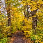 Herbstwanderung