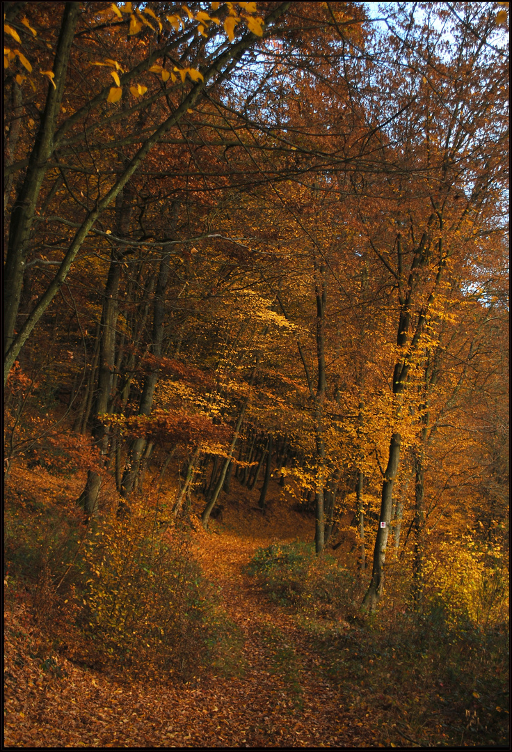 Herbstwanderung