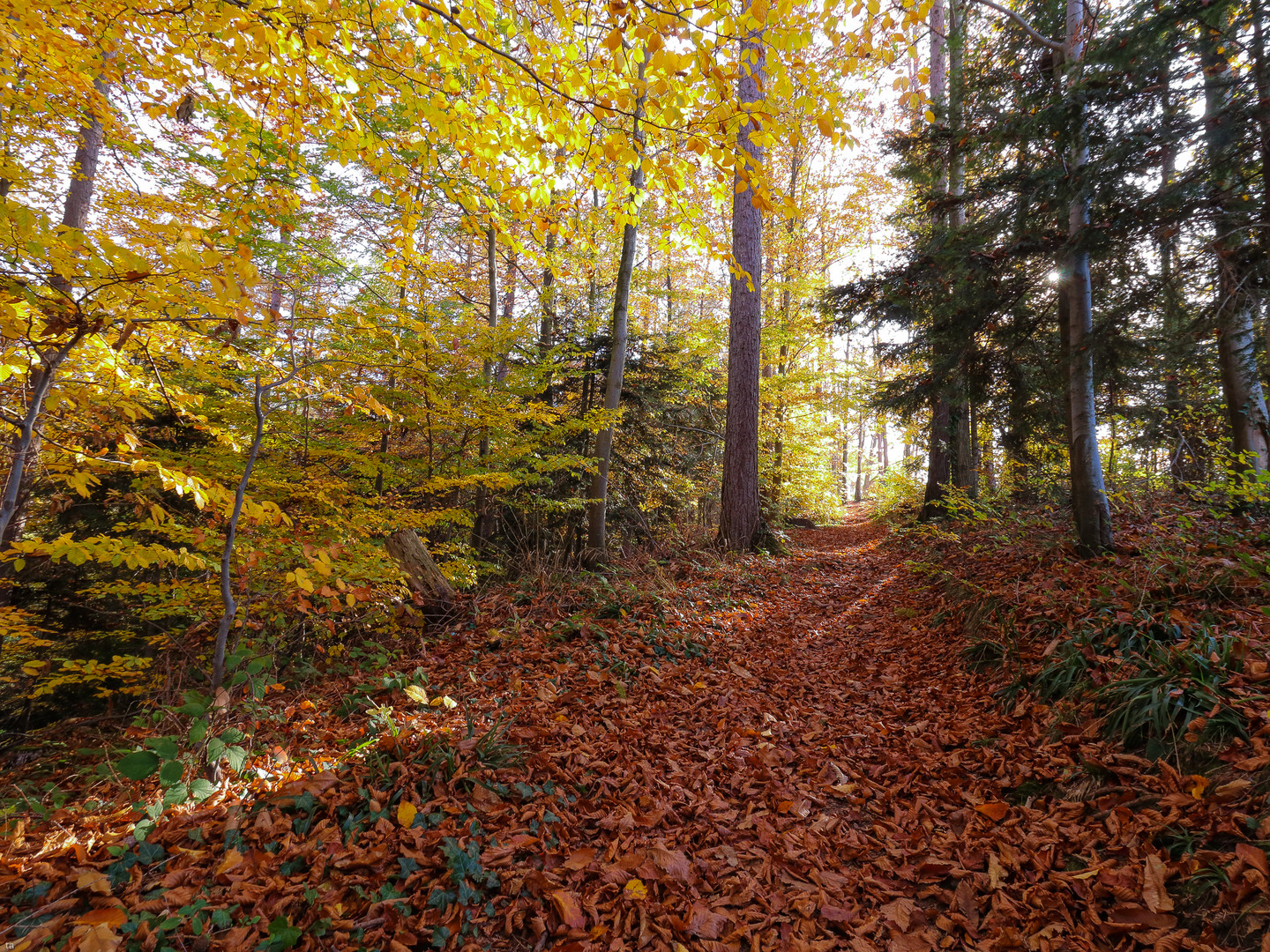 Herbstwanderung