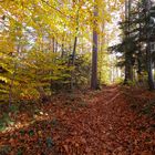 Herbstwanderung