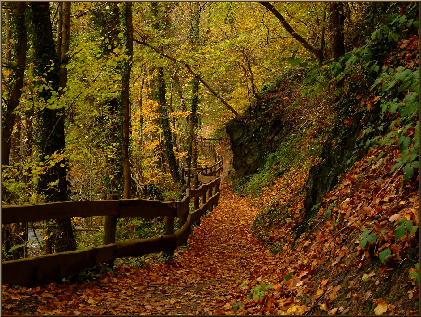 Herbstwanderung entlang der Rur