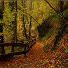 Herbstwanderung entlang der Rur