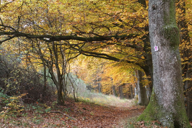 Herbstwanderung