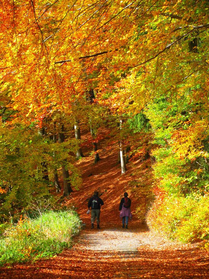 Herbstwanderung