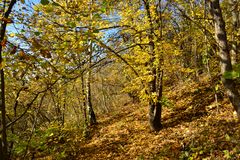 Herbstwanderung