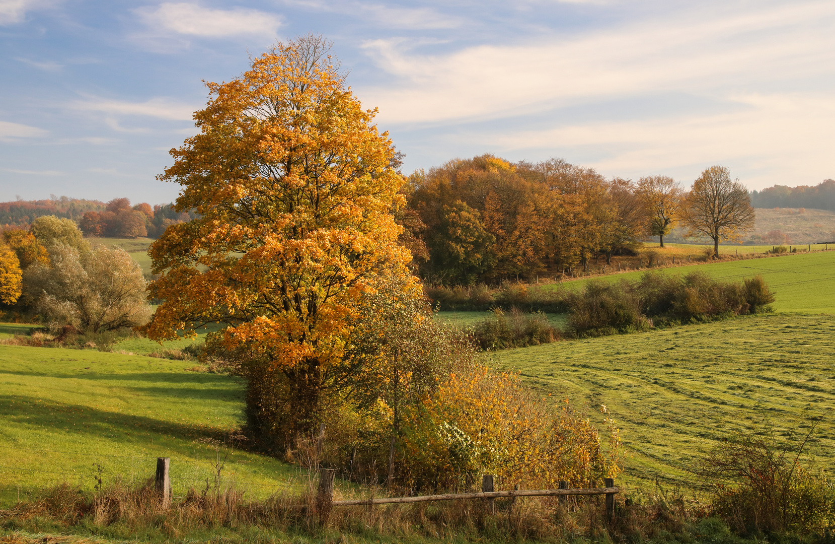 Herbstwanderung II