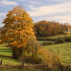 Herbstwanderung II