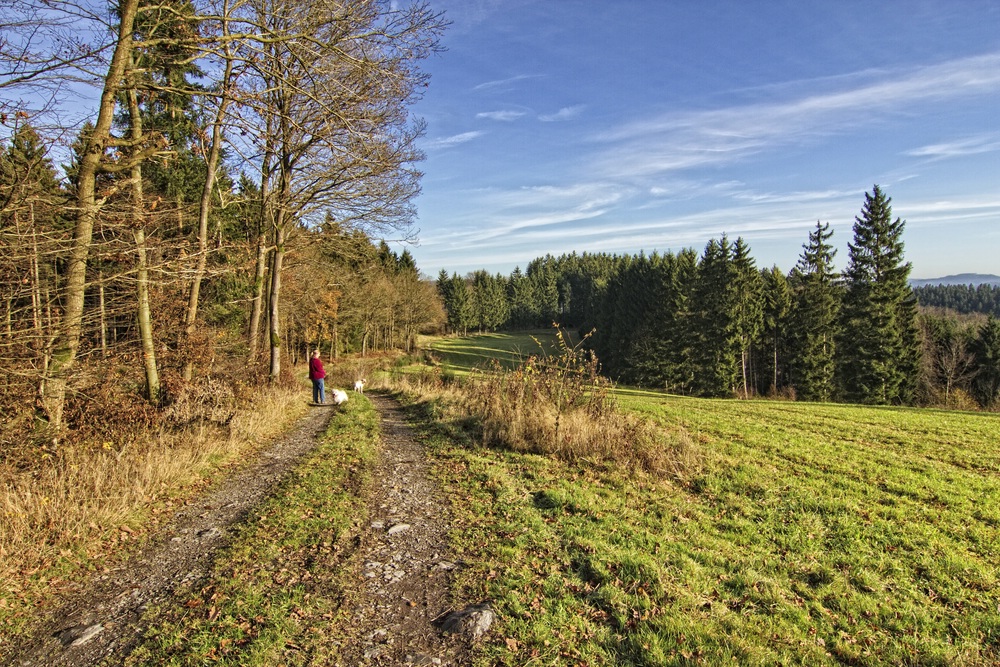 Herbstwanderung II