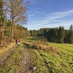 Herbstwanderung II