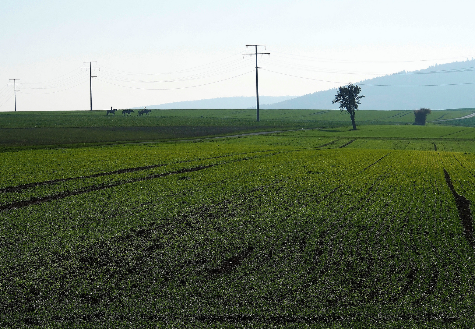 Herbstwanderung II