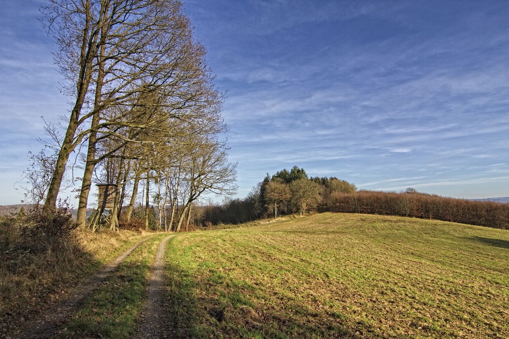 Herbstwanderung III