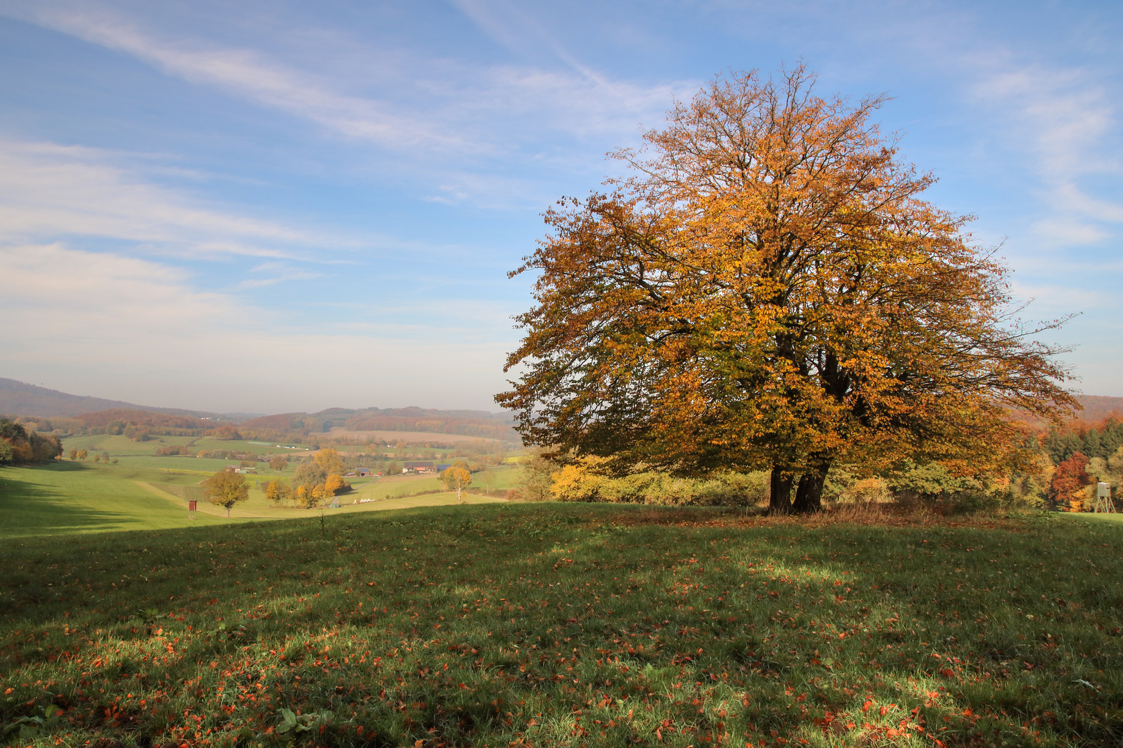 Herbstwanderung III