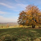 Herbstwanderung III