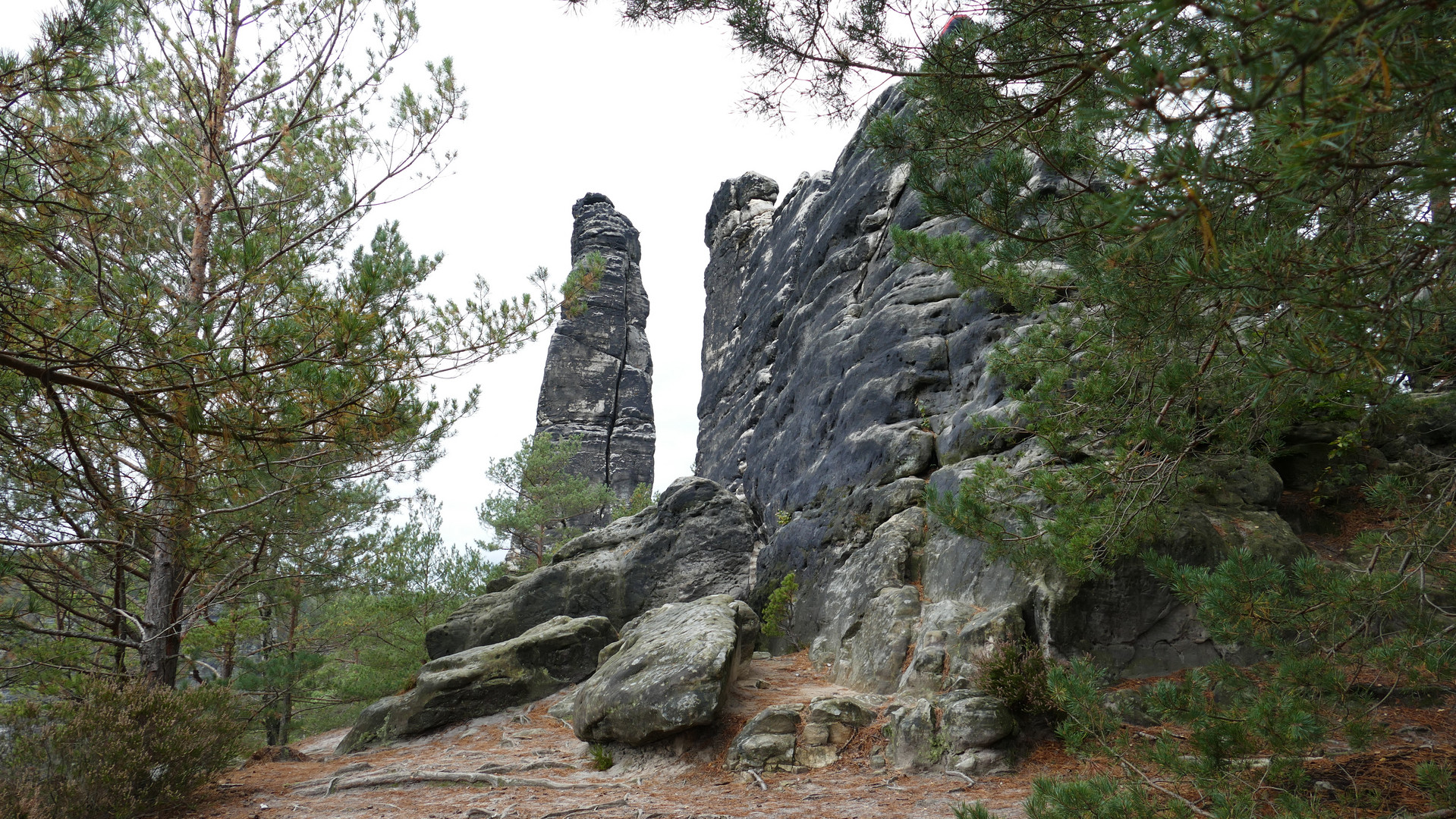 Herbstwanderung im Elbsandsteingebirge