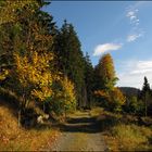 Herbstwanderung im Harz