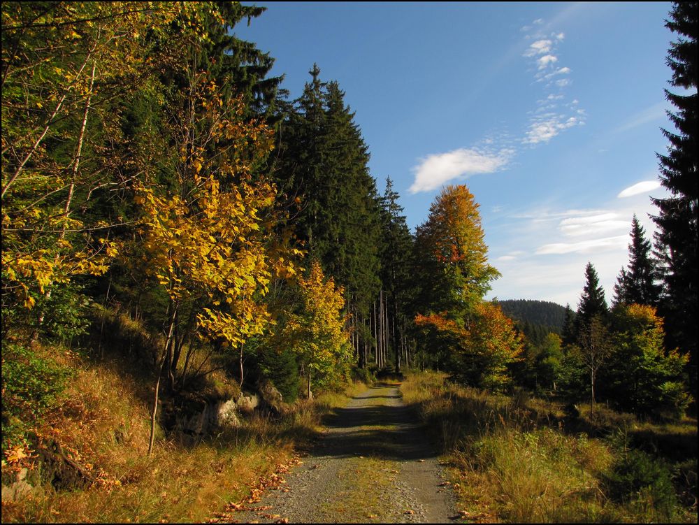 Herbstwanderung im Harz