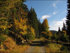 Herbstwanderung im Harz