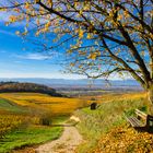 Herbstwanderung im Kaiserstuhl