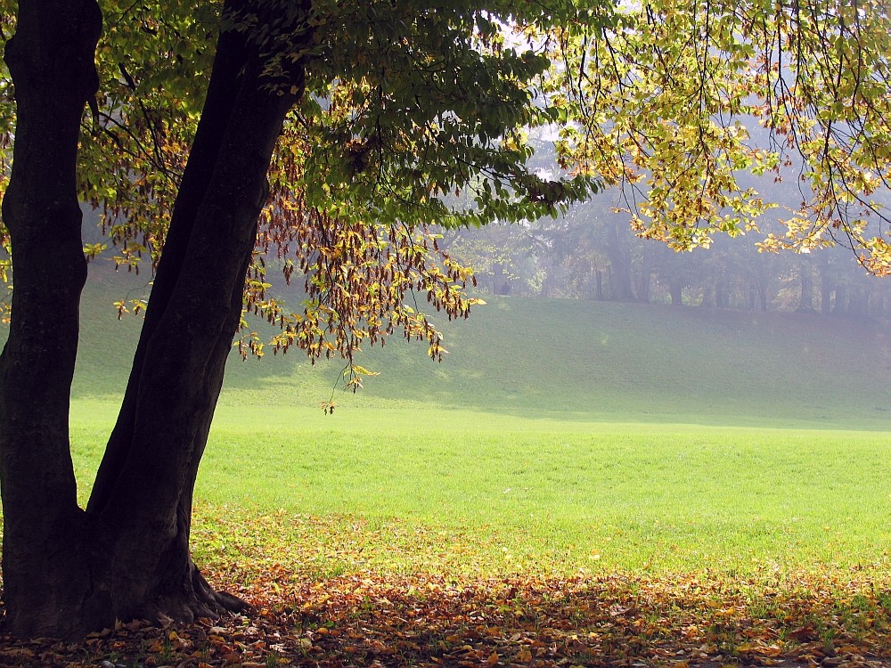 Herbstwanderung im Park