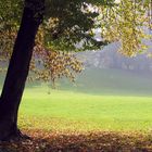 Herbstwanderung im Park