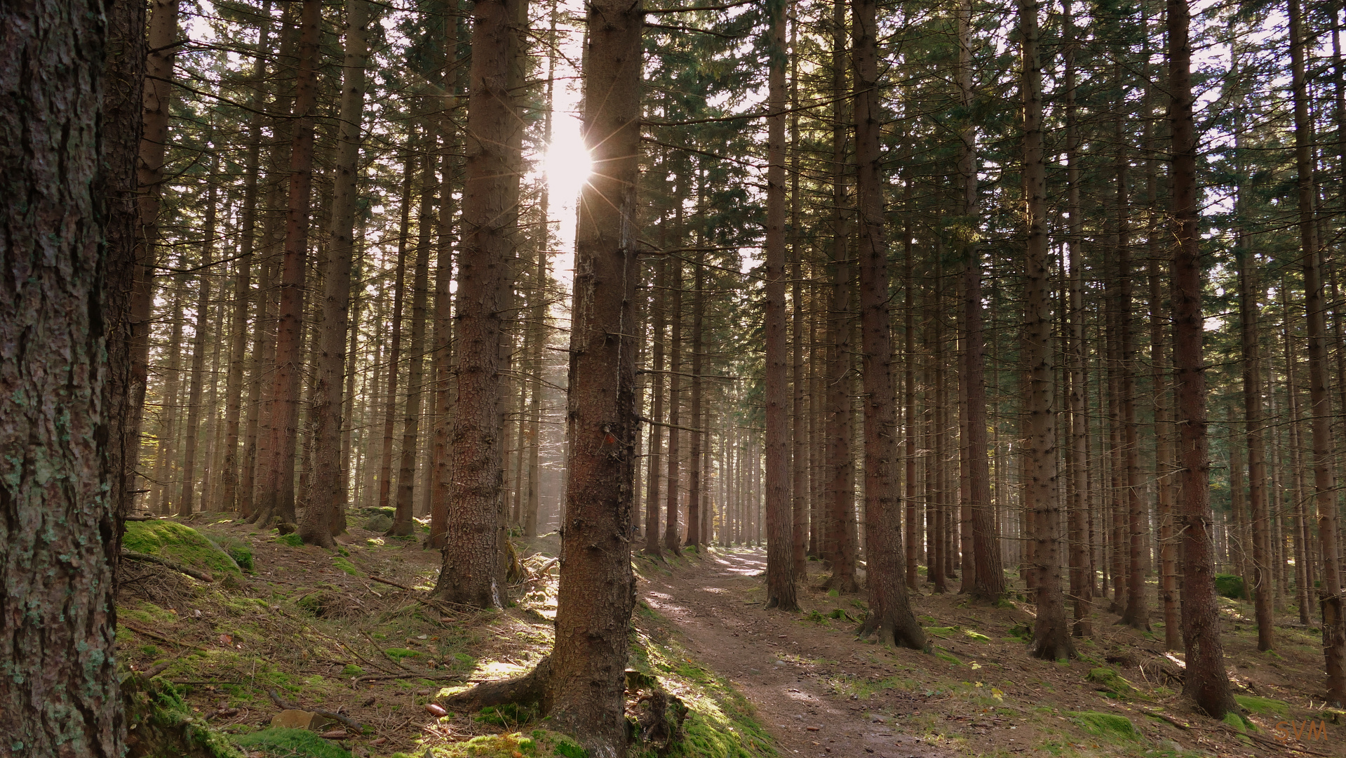 Herbstwanderung im Riesengebirge